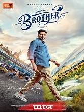 Brother (2024) HDRip Telugu (Original Version) Movie Watch Download Free