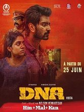 DNA (2025) HDRip  Original [Hindi + Malayalam + Kannada] Movie Watch Download Free