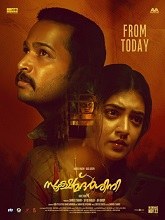 Sookshma Darshini (2024) HDRip Malayalam  Movie Watch Download Free