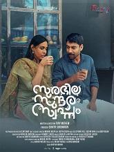 Surabhila Sundara Swapnam (2025) HDRip Malayalam  Movie Watch Download Free